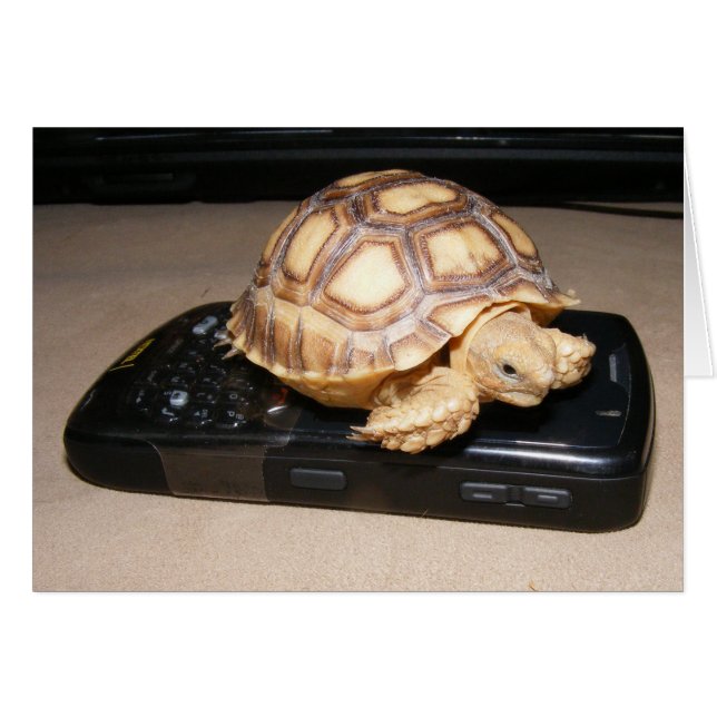 Rawr Phone Home (Devant Horizontal)