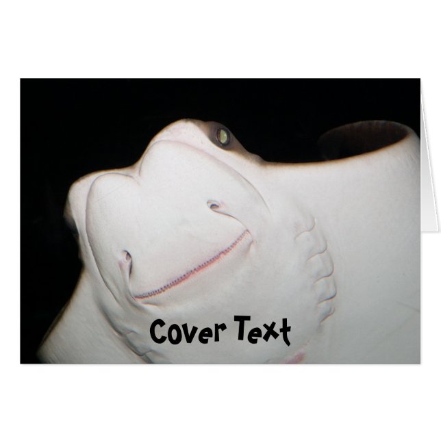 Ray-kaart glimlachen (Voorkant Horizontaal)