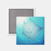 Ray Magneet (Voorkant / Achterkant)