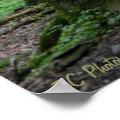 Ray of Hope 36 x 24 Poster (Coin)