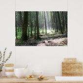 Ray of Hope 36 x 24 Poster (Cuisine)