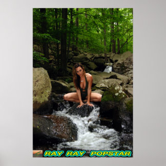 Ray Popstar Waterfall#4 Poster