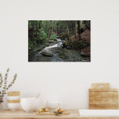 Raymondvaardigheid River in Poconos print 040 (Keuken)