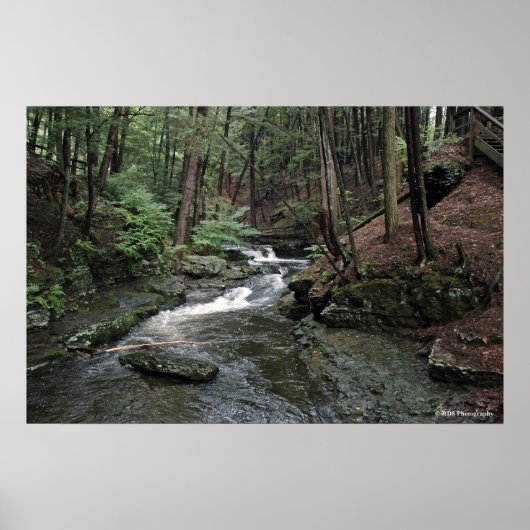 Raymondvaardigheid River in Poconos print 040 (Voorkant)