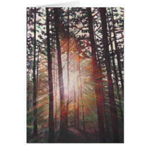 Rayon de soleil 2010