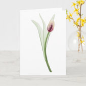  Rayon X: carte pour notes Tulip (Fleur jaune)