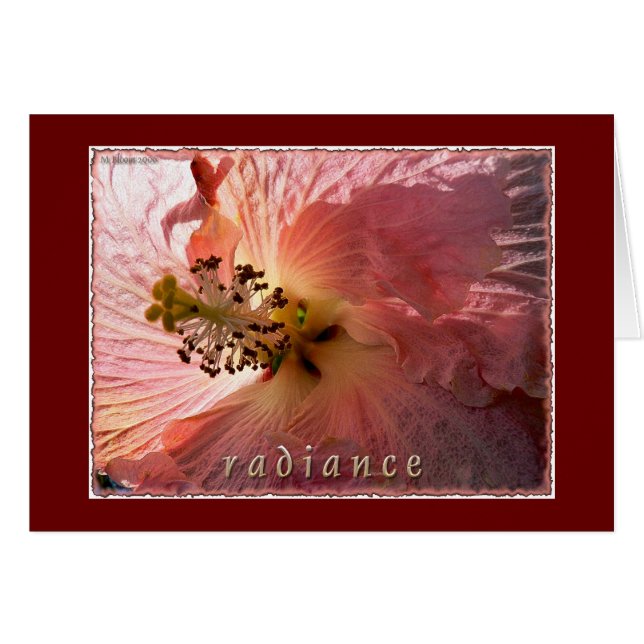 Rayonnement (Devant horizontal)