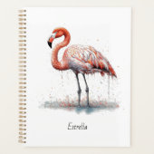 Rayonnement de Flamant rose : Aquarelle, personnal (Devant)