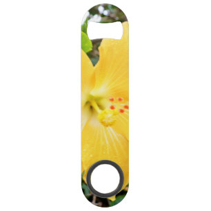 "Rayonnement d'or : Fleur d'Hibiscus jaune sur un
