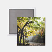 Rays Sun Shady Forest Canyon Ste-Anne QC Magnet (Recto/Verso)