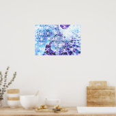 Rays van viering 4 poster (Keuken)