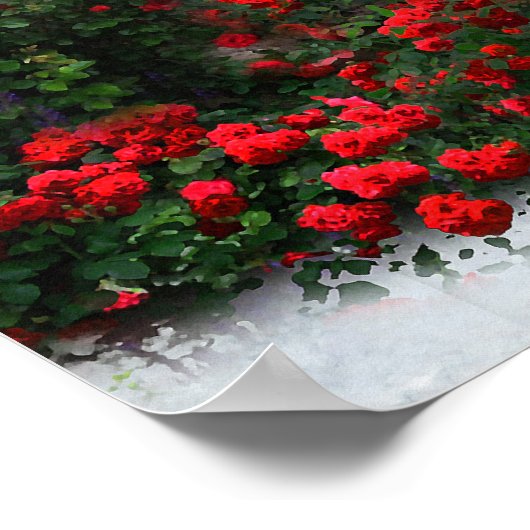 Raysel Poster (Hoek)