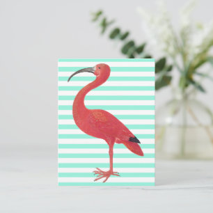Rayures de Flamant rose et de Teal - carte postale