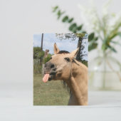 razbes briefkaart (Staand voorkant)