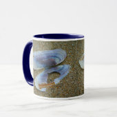 Razor Clam Shell, Oregon Mok (Voorkant links)