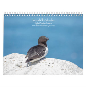 Razorbill Kalender 2026