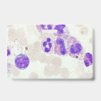 RBCs WBCs preparaat microscoop hematologie lab