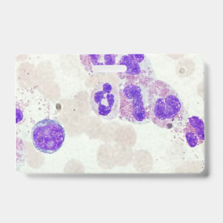 RBCs WBCs preparaat microscoop hematologie lab Badge