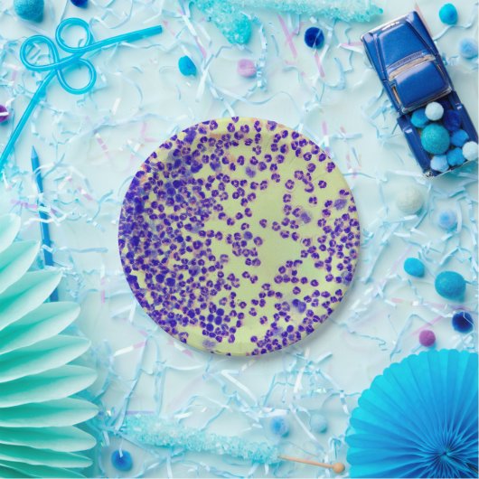 RBC's WBC's slide lab microscoop hematologie Papieren Bordje (Feest)