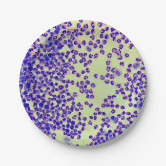 RBC's WBC's slide lab microscoop hematologie Papieren Bordje