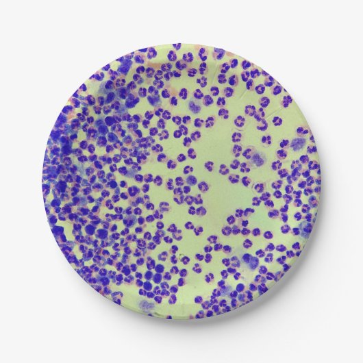 RBC's WBC's slide lab microscoop hematologie Papieren Bordje (Voorkant)