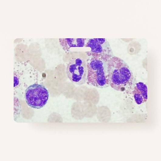 RBC's WBC's Slide Microscoop Hematologie Lab Badge (Voorkant)