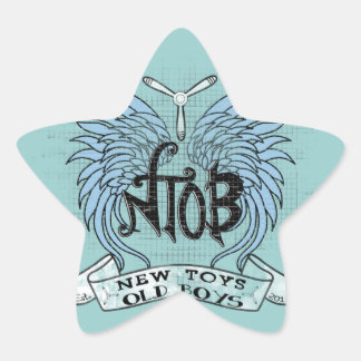 RC Vliegtuig Club Ster Sticker