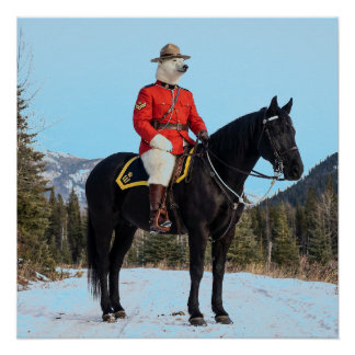 RCMP-bereden korporaal met ijsbeer Perfect Poster