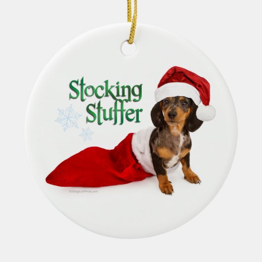 RD Dachshund Stocking Stuffer Ornament (Voorkant)