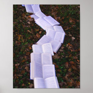 Reader voor het lezen van boekpaden poster