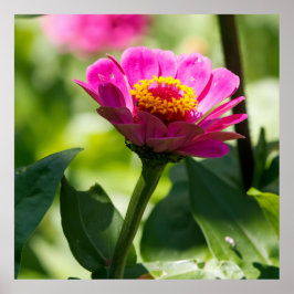 Ready to Bloom Poster