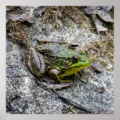 Ready to Go Poster (Voorkant)