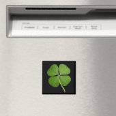 Real 4 Leaf Clover Shamrock Black Magneet (Insitu (Vaatwasser))