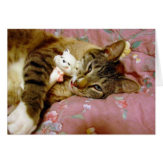 Real Cat, Fake Cat (Voorkant Horizontaal)