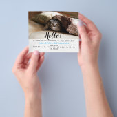 Real Estate Agent HALLO CARD cat Flyer (Hand)