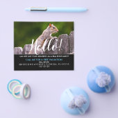 Real Estate Agent HALLO CARD Squirrel Flyer (Enkel)