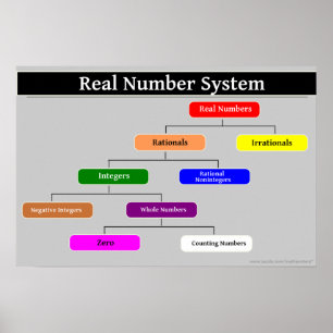 Real Number System Wiskunde Poster