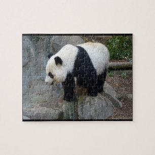 Real Photo Panda Beer Jigzaag Puzzle Legpuzzel