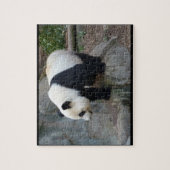 Real Photo Panda Beer Jigzaag Puzzle Legpuzzel (Verticaal)
