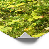 Real Portugal — Madeira Poster (Hoek)