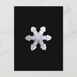 Real Snowflake Afbeelding Briefkaart