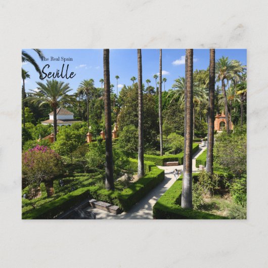 Real Spanje - Sevilla Briefkaart (Voorkant)