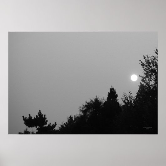 Réalisation : Poster Nature Zen/Tao (Devant)