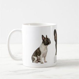 Realistic French Bulldog Full Wrap 11oz Mug – Cust Koffiemok