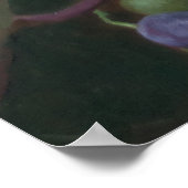 Realistic Grape Vine with Leaves – Fine Art Poster (Hoek)