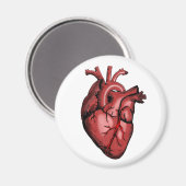 Realistisch Anatomisch Afbeelding van het hart Magneet (Voorkant / Achterkant)