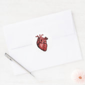 Realistisch Anatomisch Afbeelding van het hart Ronde Sticker (Envelop)