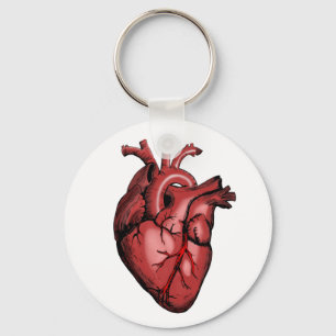 Realistisch Anatomisch Afbeelding van het hart Sleutelhanger