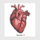 Realistisch Anatomisch Afbeelding van het hart Sticker (Vel)