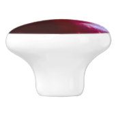 Realistisch Apple Keramische Knop (Zijkant)